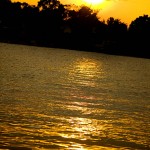 IMG_1991x