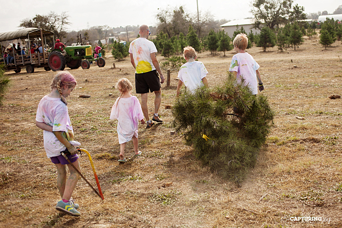 family fun color run tree farm