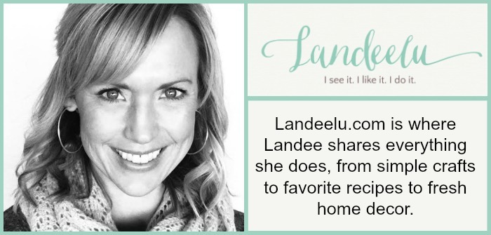 Meet Landeelu blog Info