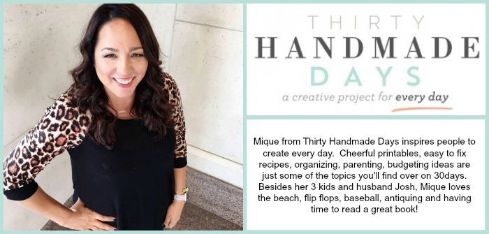 Thirty Handmade Days Creative Blog info