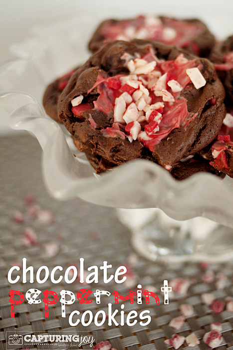chocolate-peppermint-cookies