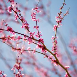 How to use dimension in photography