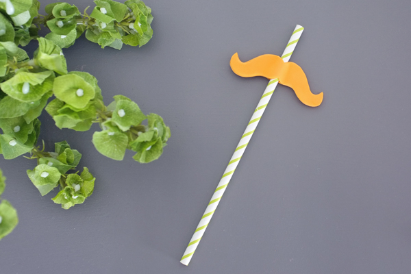 St. Patrick's Day Silly Straws | Teal & Lime from kristendukephotography.com