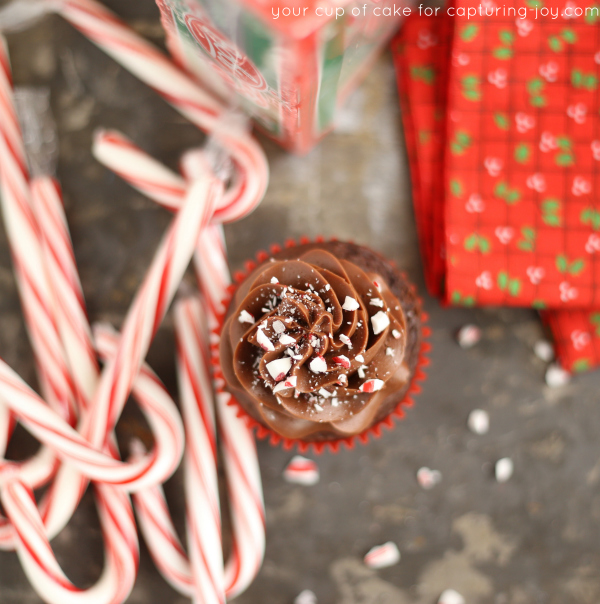 Chocolate Peppermint Cupcake Recipe