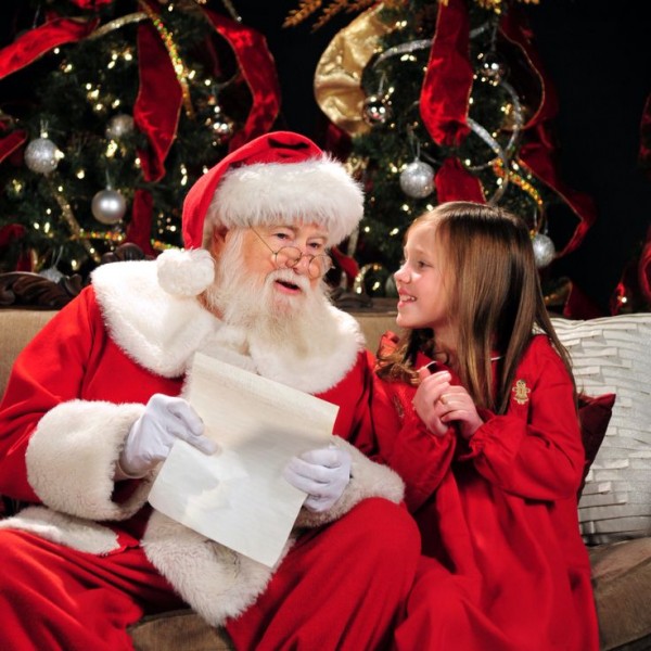 10 Christmas Picture Ideas with Santa