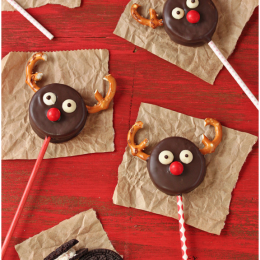Reindeer food
