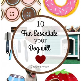 10 fun essentials your dog and you will love! Capturing-Joy.com