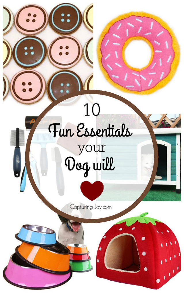 10 fun essentials your dog and you will love! Capturing-Joy.com