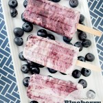 3 ingredient Blueberry Protein Pops, great frozen summer treat recipe