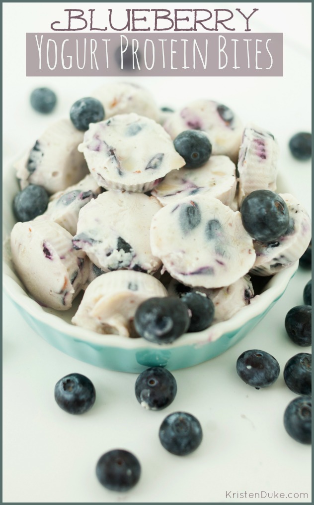 15 Summer Treat Recipes: Blueberry Protein Bites
