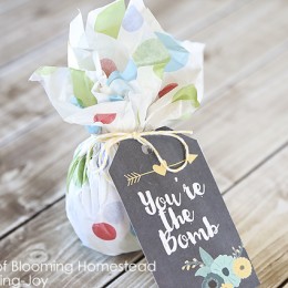 Printable You are the Bomb Gift Tags for Mother's Day, Teacher appreciation or birthday gift idea.