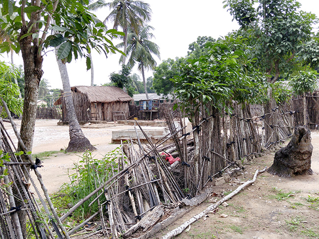 Ghana village with mud huts
