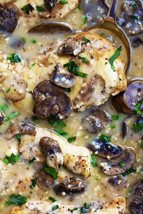 15 of the BEST Slow Cooker Chicken Recipes! Quick and easy dinner ideas! Capturing-Joy.com