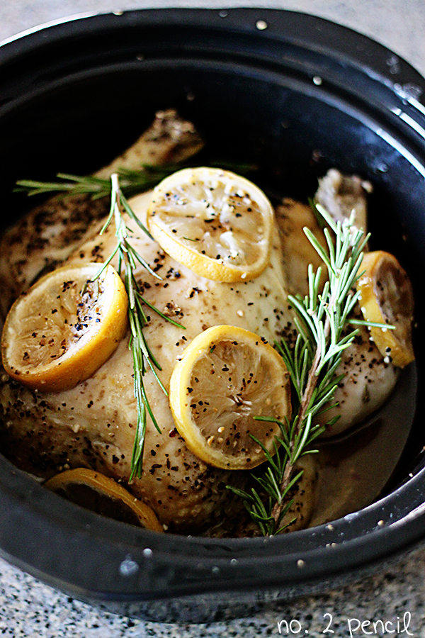 15 of the BEST Slow Cooker Chicken Recipes! Quick and easy dinner ideas! Capturing-Joy.com
