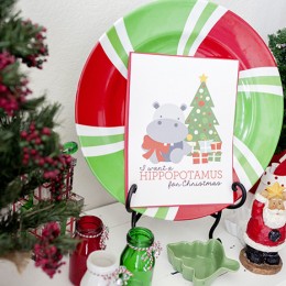 Hippopotamus for Christmas