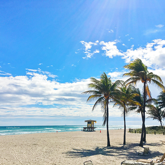 Picture of Beach in Miami with palm trees