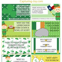 St. Patricks Day Lunch Box Jokes