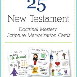 New Testament Scripture Mastery memorization cards