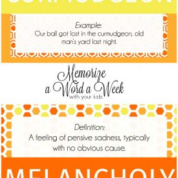 Memorize a word a week with your kids: Family Fun activity