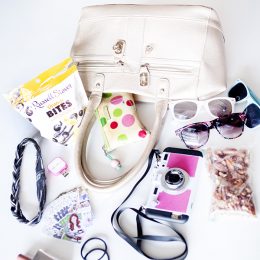 inside-my-purse
