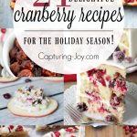 21 delightful cranberry recipes for the holiday season. Cranberries are perfect for your Thanksgiving and Christmas meals!