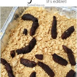 Super Simple April Fools Day Prank Edible Kitty Litter