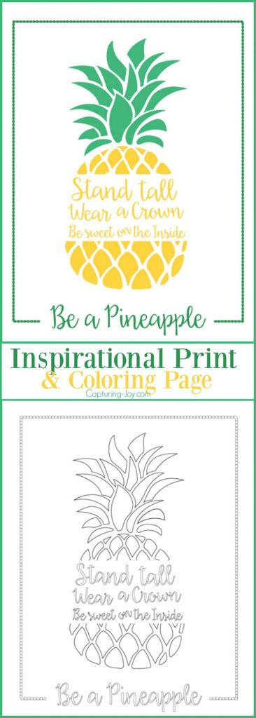 Be a Pineapple