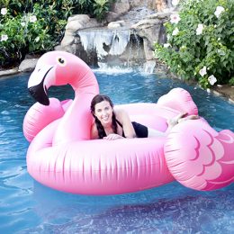 Flamingo Pool Float Pictures