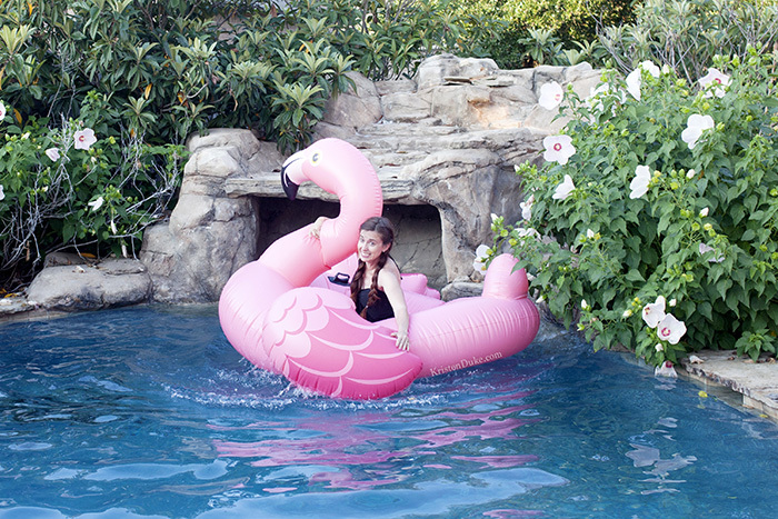 Flamingo Pool Float Pictures