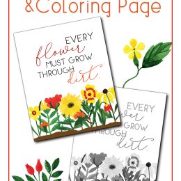 Adversity Quote Every Flower Must Grow Through Dirt